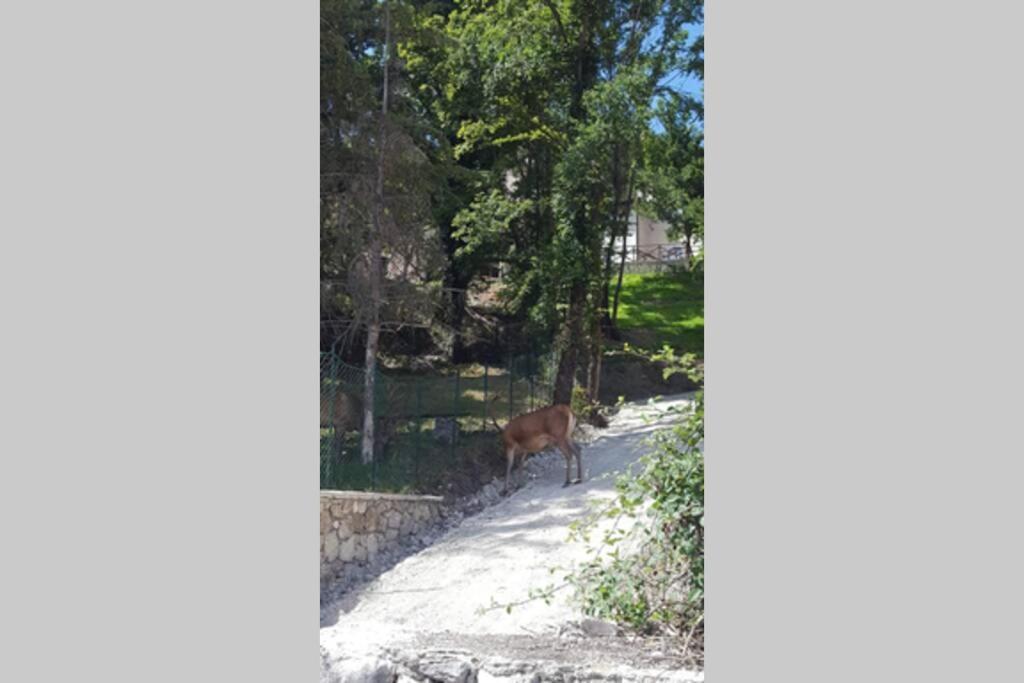 Casa vacanze al Castello Villetta Barrea Esterno foto