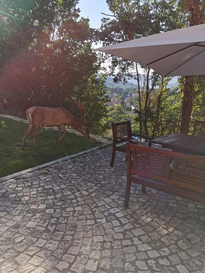 Casa vacanze al Castello Villetta Barrea Esterno foto