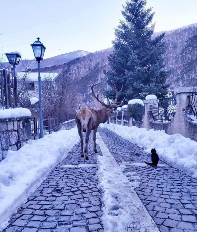 Casa vacanze al Castello Villetta Barrea Esterno foto