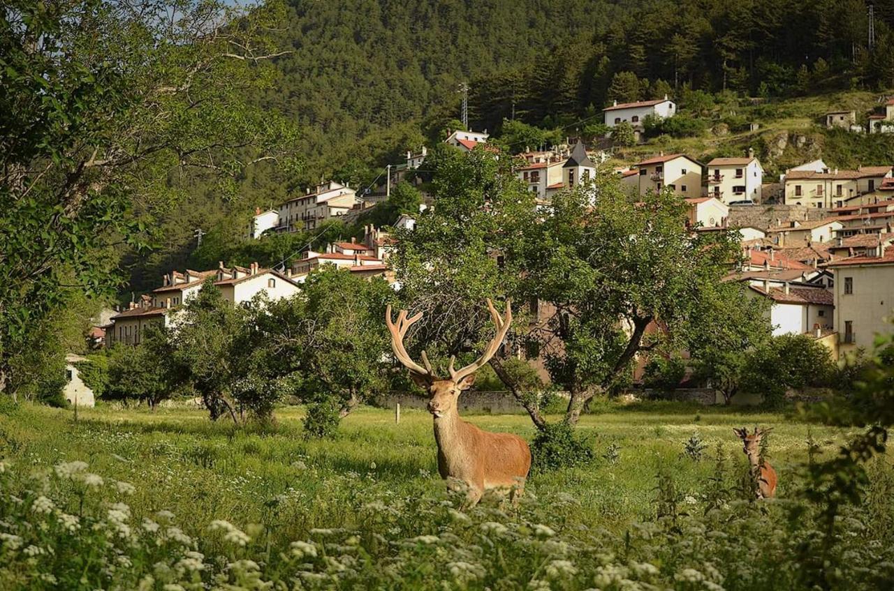 Casa vacanze al Castello Villetta Barrea Esterno foto