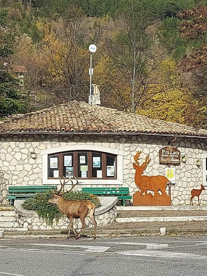 Casa vacanze al Castello Villetta Barrea Esterno foto